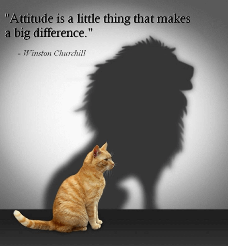 Inspirational Lion Quote Image